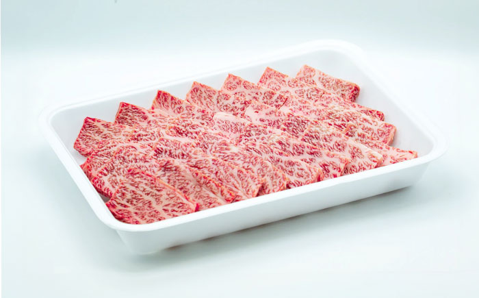 【全3回定期便】五島列島産 黒毛和牛 焼肉用 肩ロース 500g 五島市/山口Farm [PGJ006]