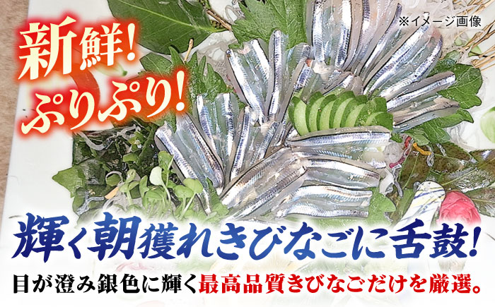 朝獲れきびなご刺身セット(きびなご丸ごと16尾パック×5、きびなご手引刺身16尾パック×5） 五島市/有限会社心誠 [PCG018]