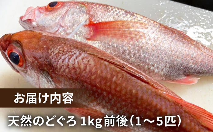 天然のどくろ（エラ・内臓処理済）アカムツ 鮮魚 魚介 刺身 五島市 / 五島FF [PBJ005]