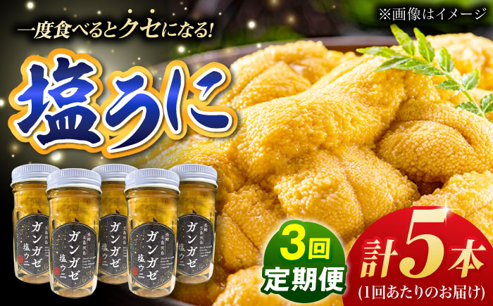 【全3回定期便】厄介うに ガンガゼ塩うに 70g×5本 / ウニ 雲丹 五島市 / うた丸 [PGA006]