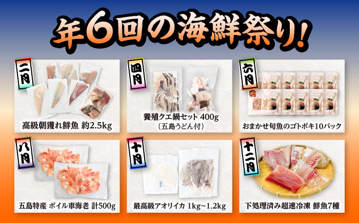 【6回定期便】五島のお魚！満喫定期便（4人前）/五島市 [PZX055]