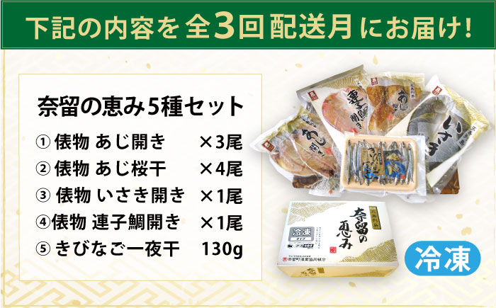 【全3回定期便】長崎俵物 干物 5種セット 五島列島 奈留の恵み ひもの 一夜干し【奈留町漁業協同組合】 [PAT005]