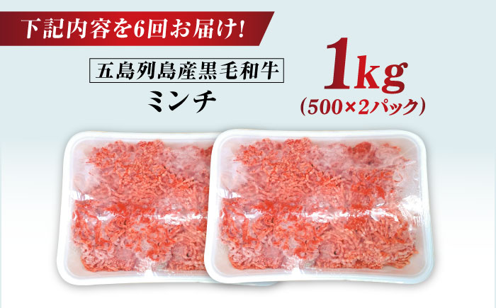 【全6回定期便】五島列島産 黒毛和牛 ミンチ 1kg 五島市/山口Farm [PGJ031]