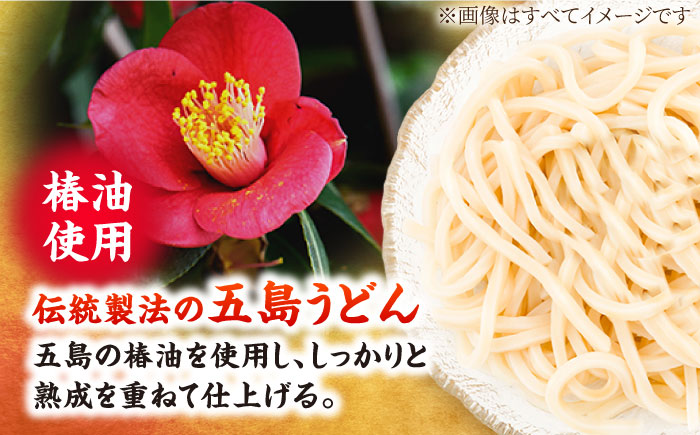 【全12回定期便】椿鯖うどん（具だくさん五島うどん）4人前【大河内商店】 [PAQ019]