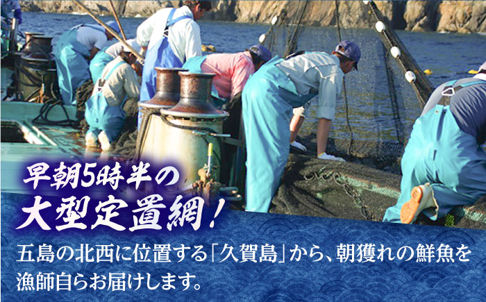 【五島列島産】高級朝獲れ鮮魚 約3kg（真空パック/下処理済） 五島市/マルセイ水産[PBT001]  刺身 五島 久賀島 海鮮 セット 旬 さかな さしみ 