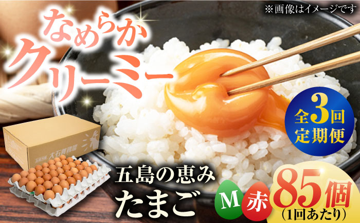 【全3回定期便】【お得な箱入り】五島の恵みたまご Mサイズ 85個入 / 卵 赤玉子 五島市 / 五島列島大石養鶏場 [PFQ014]