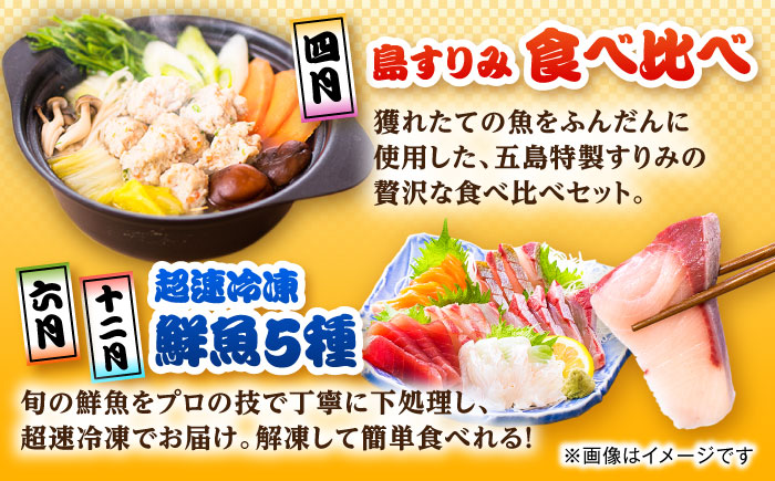 【6回定期便】五島のお魚！満喫定期便（2人前）/五島市 [PZX053]