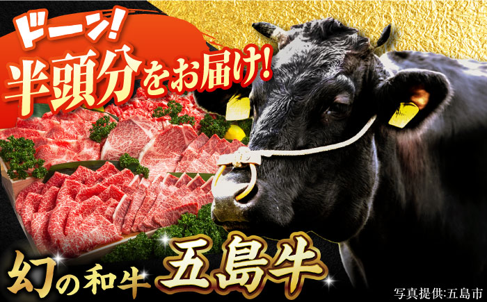 五島牛 半頭分 五島市/ごとう農業協同組合[PAF023] 牛肉 国産 和牛 大容量 ブランド牛 冷凍