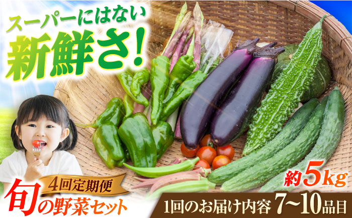 【4回定期便】　旬野菜セット7〜10品目（五島列島産）5kg未満　五島市/やぁしゃ便 [PBG009]