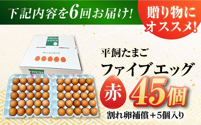 【6回定期便】【お得な箱入り】平飼たまご ファイブエッグ M〜Lサイズ 45個 / 5EGG 卵 赤玉子 五島市 / 五島列島大石養鶏場 [PFQ043]