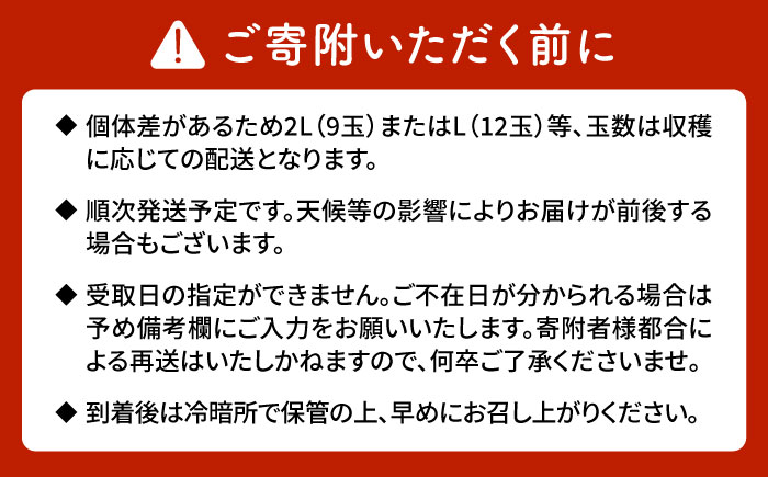 【期間限定】五島のびわ（長崎早生）500g 秀品 化粧箱入 五島市/ごとう農業協同組合 [PEM001]