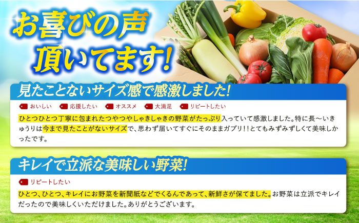 【4回定期便】　旬野菜セット7〜10品目（五島列島産）5kg未満　五島市/やぁしゃ便 [PBG009]