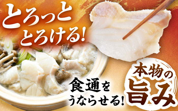 【6回定期便】クエ鍋用クエパック500g×2 五島市/金沢鮮魚[PEP051]クエ くえ 鍋 お鍋 冬 高級 贅沢