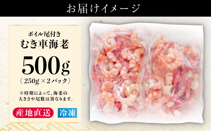 五島特産 ボイル 車海老 エビ 尾付き むきえび 500g (250g×2P) 五島市/拓水 五島事業場 [PCU004]