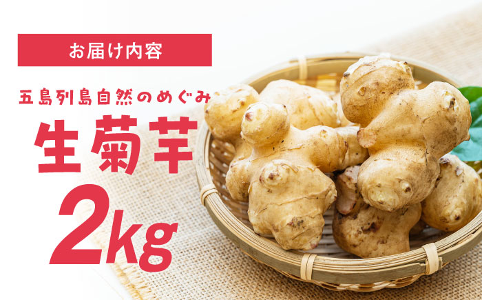 生キクイモ（菊芋）2kg 五島市/五島列島自然のめぐみ [PGM005]