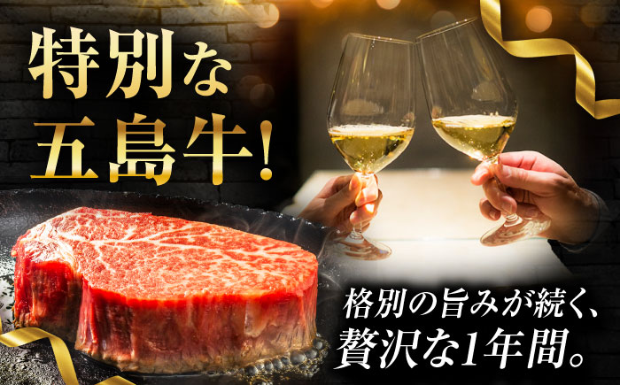 【12回定期便】お届け内容が毎月変わる五島牛定期便（2名向け）五島市/ごとう農業協同組合 [PAF104]