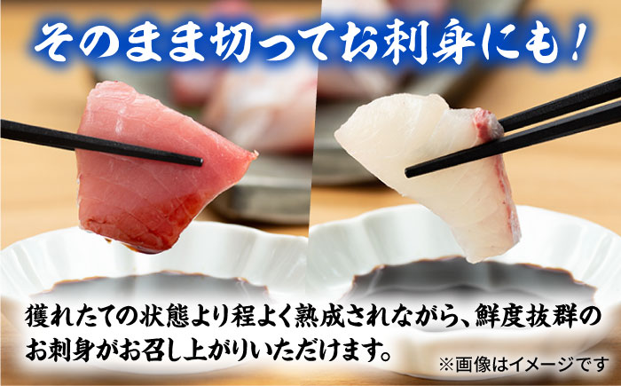 【季節ごとに旬の鮮魚を切り身でお届け】五島産高級鮮魚セット 3~4kg加工済み【マルセイ水産】[PBT001]