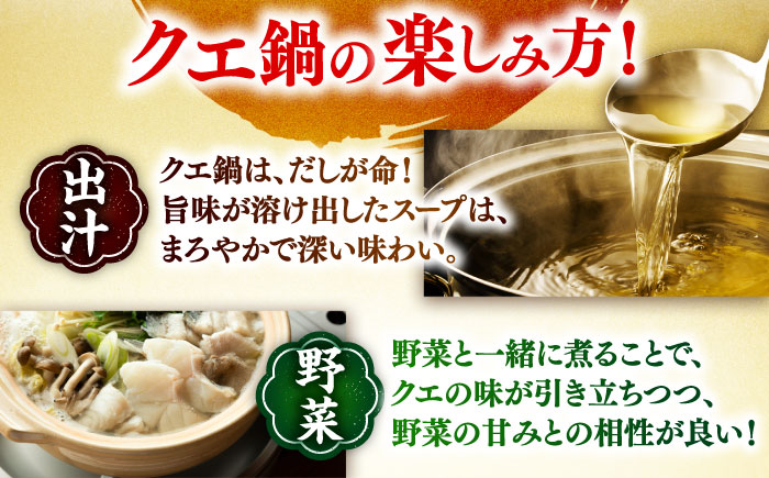【12回定期便】クエ鍋用クエパック500g×2 五島市/金沢鮮魚[PEP052]クエ くえ 鍋 お鍋 冬 高級 贅沢