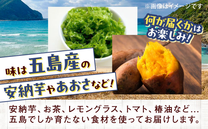 【全6回定期便】まぼろし椿（マドレーヌ）6個入り ※味はおまかせ 五島市/uncalin [PGK015]