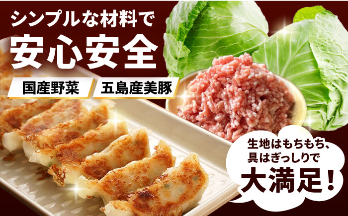 【12回定期便】美豚餃子150個（15個×10袋） 五島市/長崎フードサービス[PEL024]  冷凍 餃子 中華 ぎょうざ ギョウザ