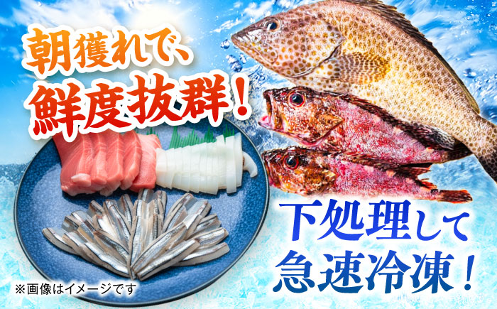 【全3回定期便】漁師の極み刺身パック（粋）1皿 五島市/Sun Sea Go Company 魚 おまかせ お任せ 鮮魚 五島列島 [PGL018]