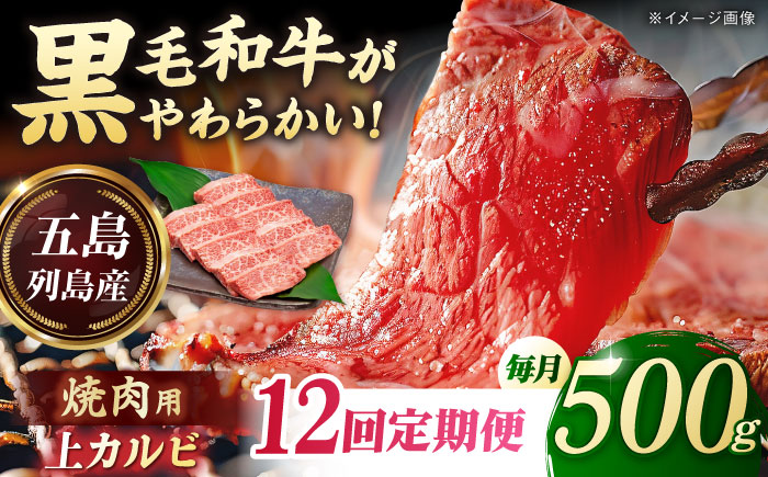 【12回定期便】五島列島産 黒毛和牛 焼肉上カルビ 500g 五島市/山口Farm [PGJ060]