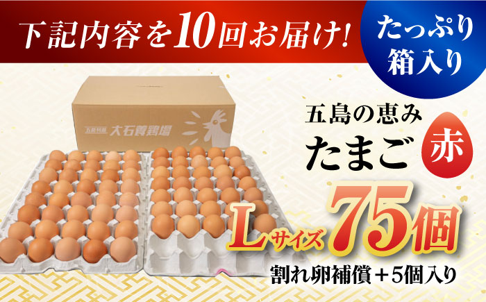 【全10回定期便】【お得な箱入り】五島の恵みたまご Lサイズ 75個入 / 卵 赤玉子五島市 / 五島列島大石養鶏場 [PFQ019]