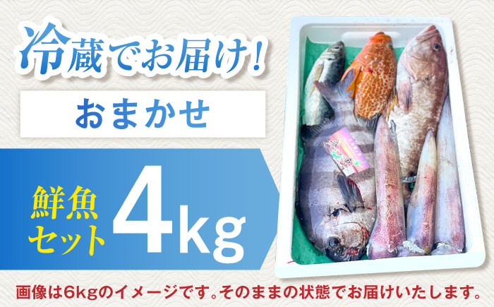 【五島列島直送】朝獲れ高級鮮魚セット4kg 五島市 / 鯛福丸水産[PDP003]  魚 鮮魚 セット 海鮮 直送 さかな 詰合せ 冷蔵