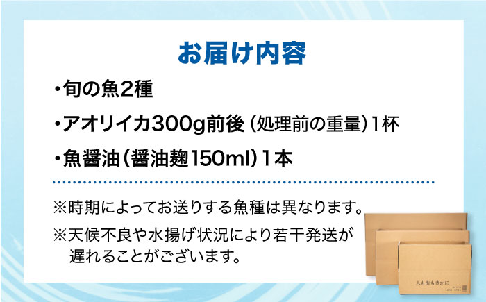 金澤仕立て 鮮魚ボックス（旬の魚2種・アオリイカ・魚醤油1種）五島市/金沢鮮魚 [PEP002]