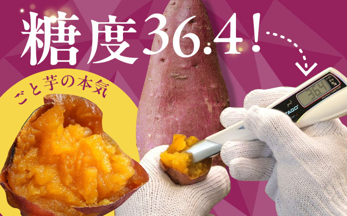 【全3回定期便】【3年連続日本一！】ごと芋 300g×6袋 / 冷凍 焼き芋 レンジ さつまいも 安納芋 五島市 / ごと [PBY022]