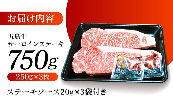 やみつき 五島牛 サーロインステーキ 750g（250g×3枚） A4 A5 国産 五島市/肉のマルヒサ [PCV054]