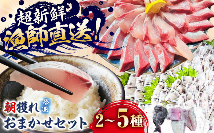 漁師直送！！五島のお魚おまかせセット 五島市/Sun Sea Go Company 魚 おまかせ お任せ 鮮魚 五島列島 [PGL014]