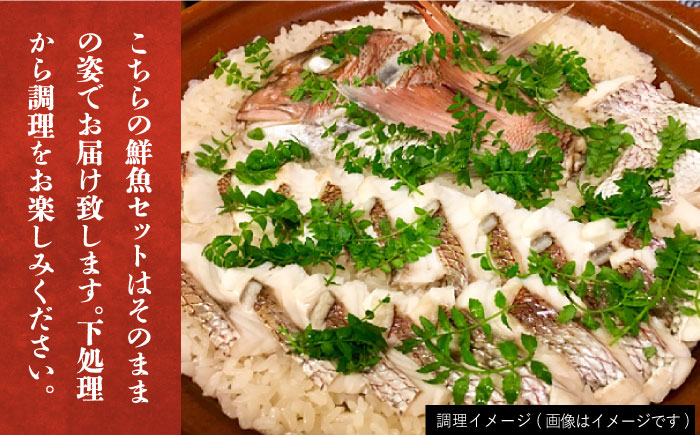 【五島列島直送】朝獲れ鮮魚セット4kg　鯛福丸水産/五島市[PDP011]   魚 鮮魚 セット 海鮮 直送 さかな 詰合せ 冷蔵