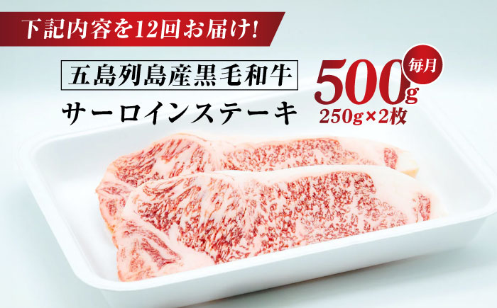 【全12回定期便】五島列島産 黒毛和牛 サーロインステーキ 250g×2枚 五島市/山口Farm [PGJ020]