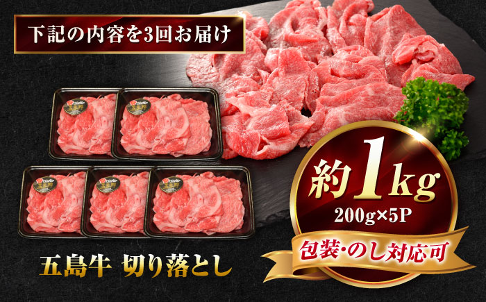 【3回定期便】五島牛 切り落とし 1kg（200g×5P）五島市/meat shop FUKU [PHF018]