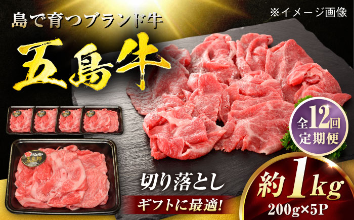 【12回定期便】五島牛 切り落とし 1kg（200g×5P）五島市/meat shop FUKU [PHF020]