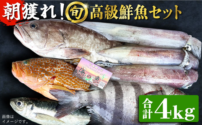 【五島列島・直送】朝獲れ！高級鮮魚セット4kg 五島市 / 鯛福丸水産 [PDP003]