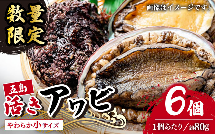 【日付指定必須】【エリア限定】【数量限定】五島産養殖活アワビ6個 小サイズ あわび 鮑 五島市/都工業 [PEX002]