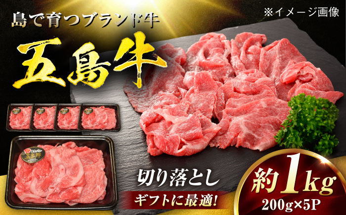 五島牛 切り落とし 1kg（200g×5P）五島市/meat shop FUKU [PHF017]