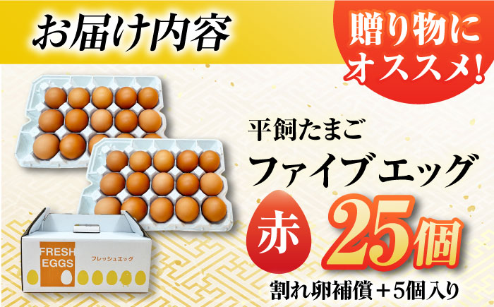 【お得な箱入り】平飼たまご ファイブエッグ M〜Lサイズ 25個 / 5EGG 卵 赤玉子 五島市 / 五島列島大石養鶏場 [PFQ035]