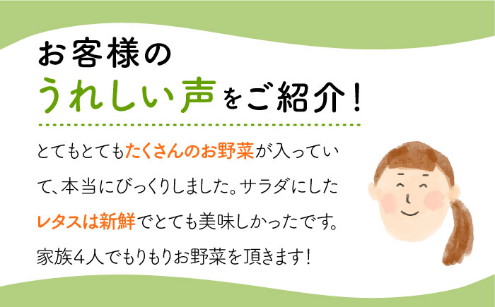 旬の野菜セット（7-10品目10kg未満）野菜 やさい 詰め合わせ セット五島市/やぁしゃ便 [PBG003]