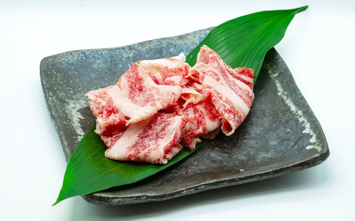 【全3回定期便】五島列島産 黒毛和牛 こま切れ 500g 五島市/山口Farm [PGJ022]