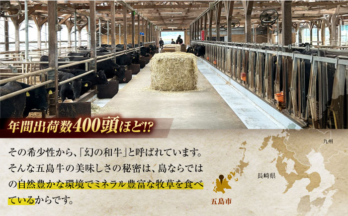 幻の五島牛ホルモン1kg（味付け無し） 五島市/ごとう農業協同組合[PAF030]  牛モツ モツ ホルモン 五島牛 和牛 長崎和牛 国産牛