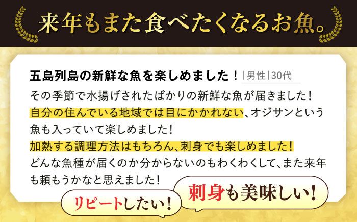 【五島列島直送】朝獲れ鮮魚セット2kg 五島市/鯛福丸水産[PDP008]  鮮魚 セット 冷蔵 魚 海鮮 直送 さかな 詰合せ