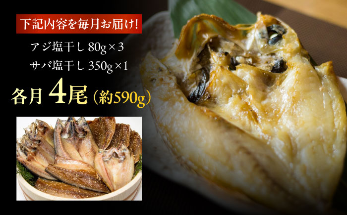 【3回定期便】【S】一夜干し 塩干し（アジ/サバ）計4尾 五島市/愛情食彩[PCH010]