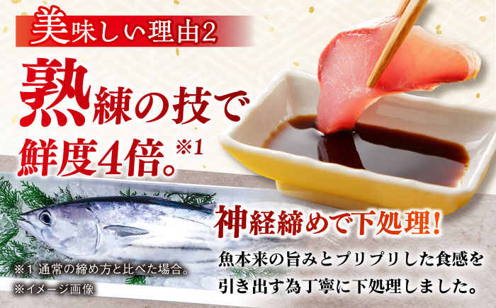 【全4回定期便】【五島列島直送】朝獲れ高級鮮魚セット2kg 五島市 / 鯛福丸水産[PDP005]  魚 鮮魚 セット 海鮮 直送 さかな 詰合せ 冷蔵 定期