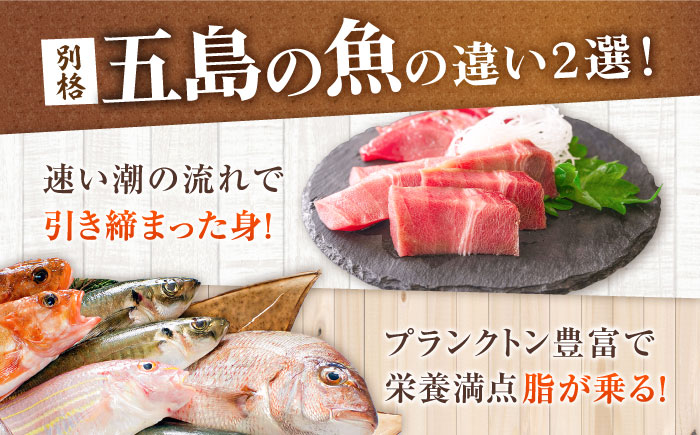 【3回定期便】旬魚のゴトポキ10袋 五島市/金沢鮮魚[PEP061]