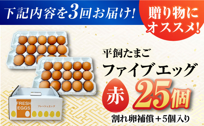 【3回定期便】【お得な箱入り】平飼たまご ファイブエッグ M〜Lサイズ 25個 / 5EGG 卵 赤玉子 五島市 / 五島列島大石養鶏場 [PFQ039]