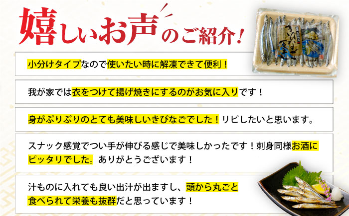 五島列島 きびなご 一夜干し 130g×10袋 干物 五島市/奈留町漁業協同組合 [PAT004]