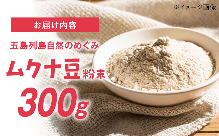 ムクナ豆 粉末300g 五島市/五島列島自然のめぐみ [PGM002]